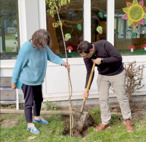 Baum-Pflanz-Challenge 2025 🌳